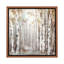 «Sunset Birch Forest III» - reproduction-52365219-52365212