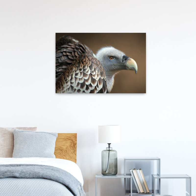 Majestic Vulture Profile Contemporary Bird Nature Portrait Wall Art Print 1 Piece Wrapped Canvas Wall Art