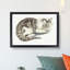 Cat by Johan Teyler - Framed Print-55621427-55621431