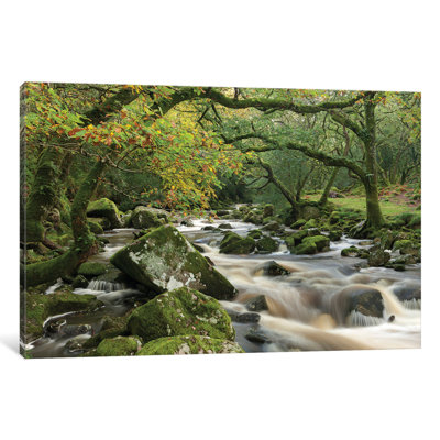 «The Dewerstone Wood» par Adam Burton, reproduction de photo sur toile tendue