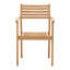 Verdant Outdoor Dining Chair