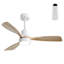 Ventilateur de plafond 48 pouces avec 3 pales en bois massif et télécommande pour salon-2017843876-2017843875