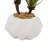 10.6'' Faux Agave Plant in Ceramic Pot