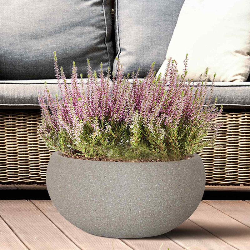 Light Concrete Bowl Planter, Frostproof Outdoor Plant Pot, Bonsai Pot, Garden Planter with Drainage Holes, Shallow Planter