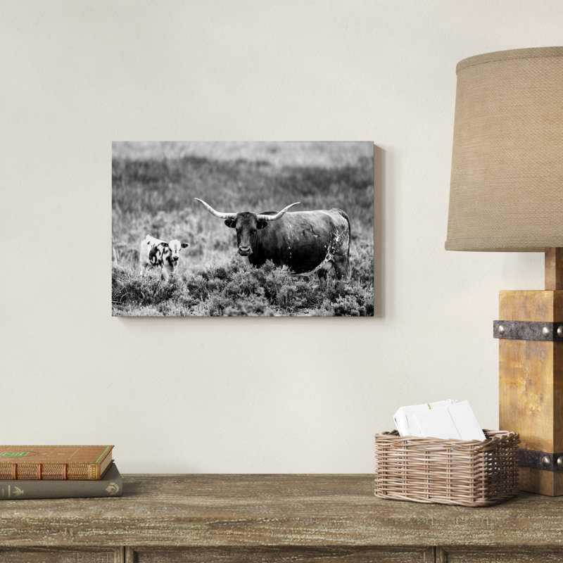 B&W Longhorn II, H 12 po x l 18 po x P 1,25 po