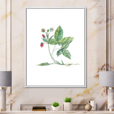 " Vintage Wild Strawberries And Wild Flowers "