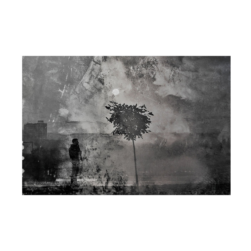 Art sur toile Dalibor Davidovic Shadows, H 16 po x l 24 po