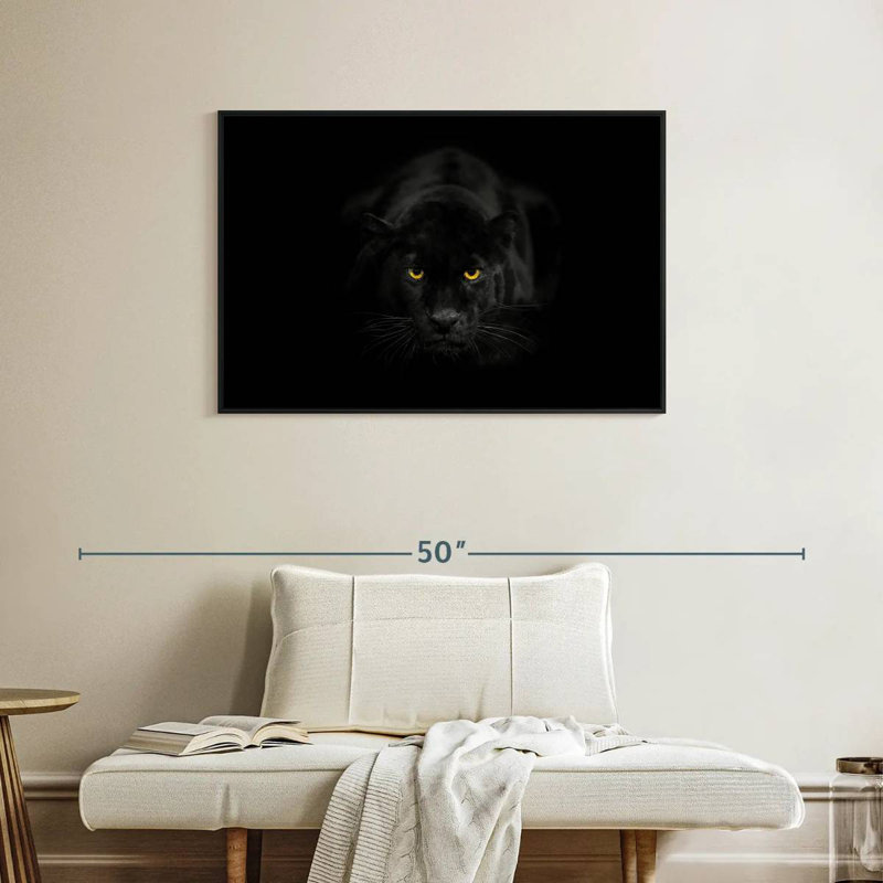 Rare panthère noire, Cadre flottant noir, 37 po x 25 po