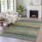 Machine Washable Indoor/Outdoor Xhevrie Green Rug-111820083
