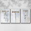 Ensemble de 3 flotteurs sur toile Corkscrew Variety II-97754041-97754043