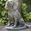 Dog Garden Statue-13917186