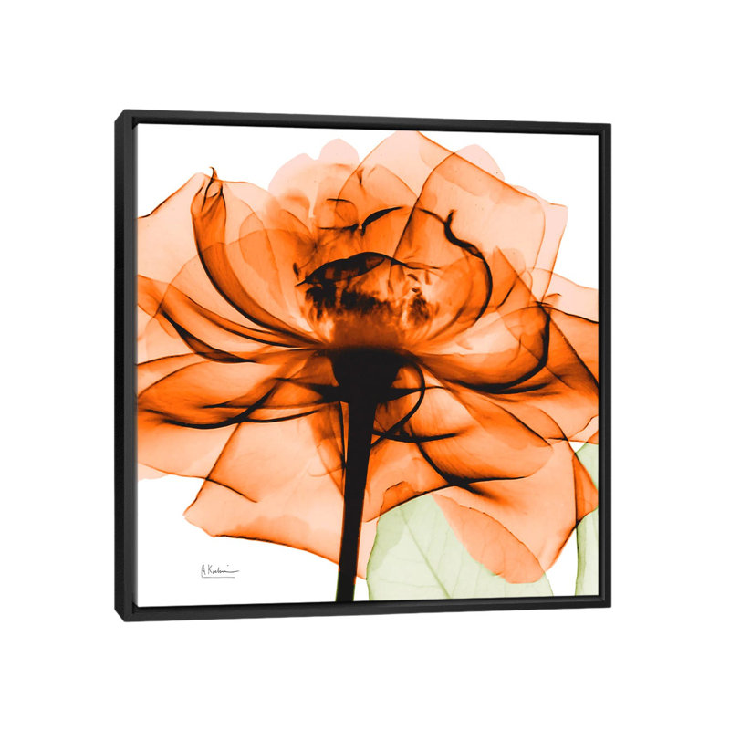 «Rose», reproduction d'impression sur toile, H 18 po x l 18 po x P 1,5 po, Toile avec cadre noir, Pas de tapis