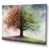 Wrapped Canvas