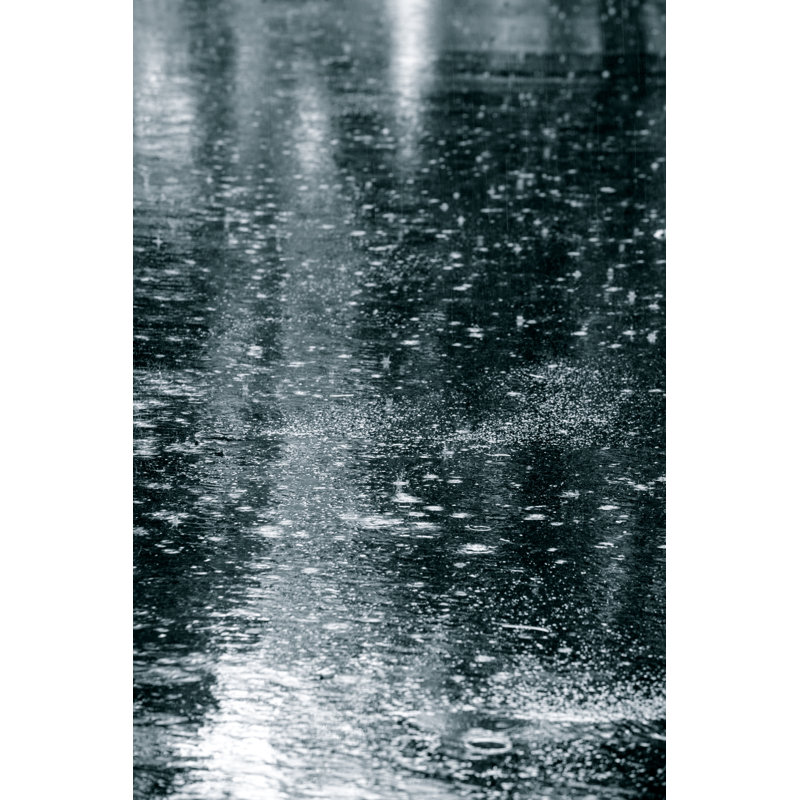 Bad Weather - Photographie sur toile tendue, H 18 po x l 12 po