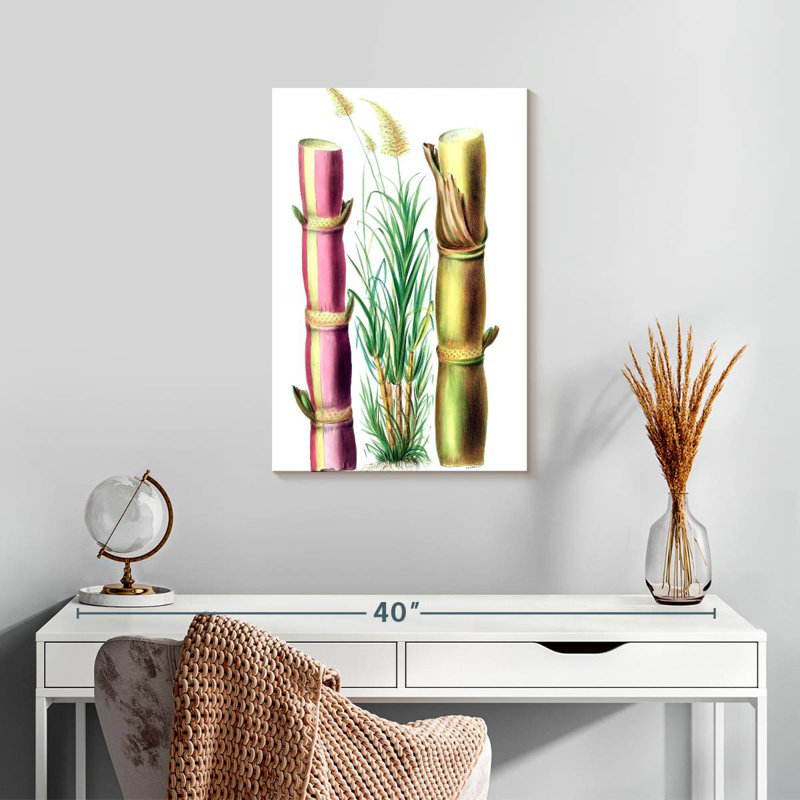 Harnek Sugarcane Stalks, 24" H x 16" W