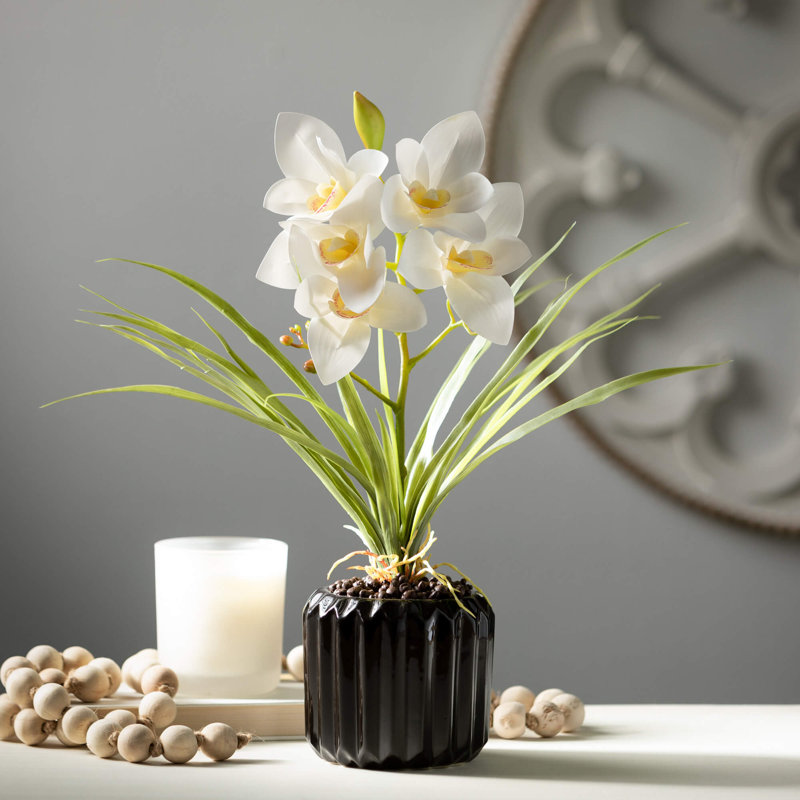 Arrangement cymbidium