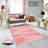 Stylish Woven Carpet, 5.6 x 7.5 Feet, 100% Polyester, 0.3 in Pile Height | Antibacterial, Non-Slip PVC Felt Dot Underside, Machine Washable | 3D Digital Printing, Durable & Easy to Maintain - Perfect for Any Room-1131721846