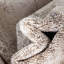 Loop-De-Loop Moroccan Synthetic Area Rug-57329392