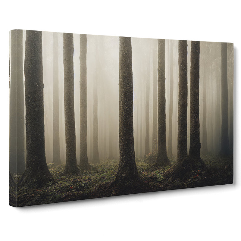 Forest Mist Vol.2 - Wrapped Canvas, 35cm H x 50cm W x 3cm D
