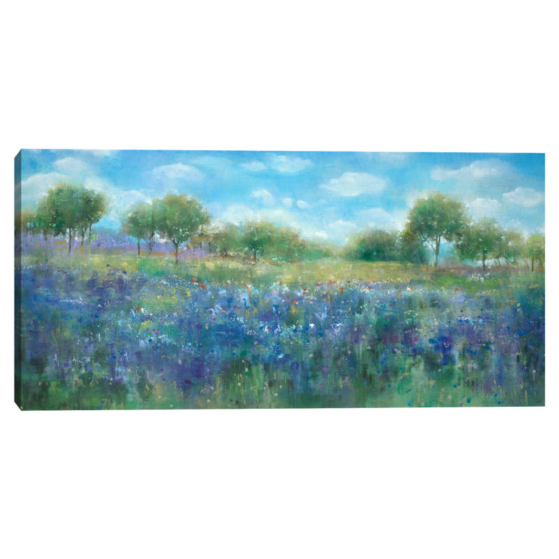 " Bluebonnets Hill "