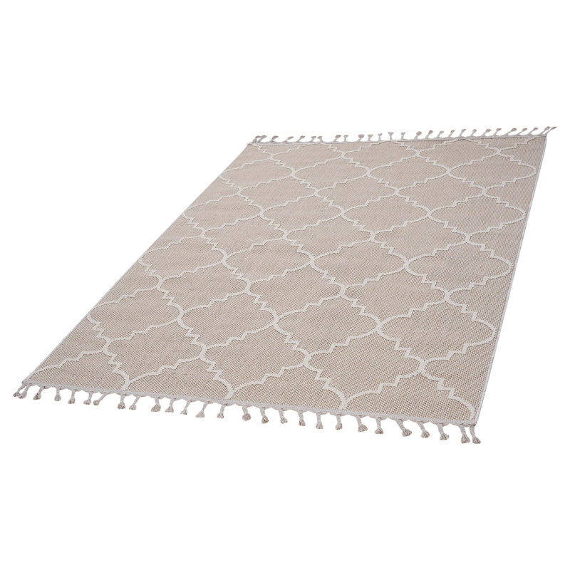 Traditional indoor/outdoor area rugs, Rectangle 5'3" x 7'6"