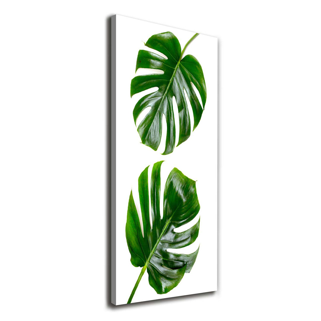 Monstera - Kunstdrucke auf Leinwand - Wrapped Canvas