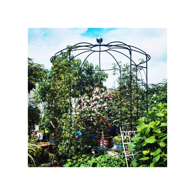 Metal iron garden birdcage shaped arch pavilion