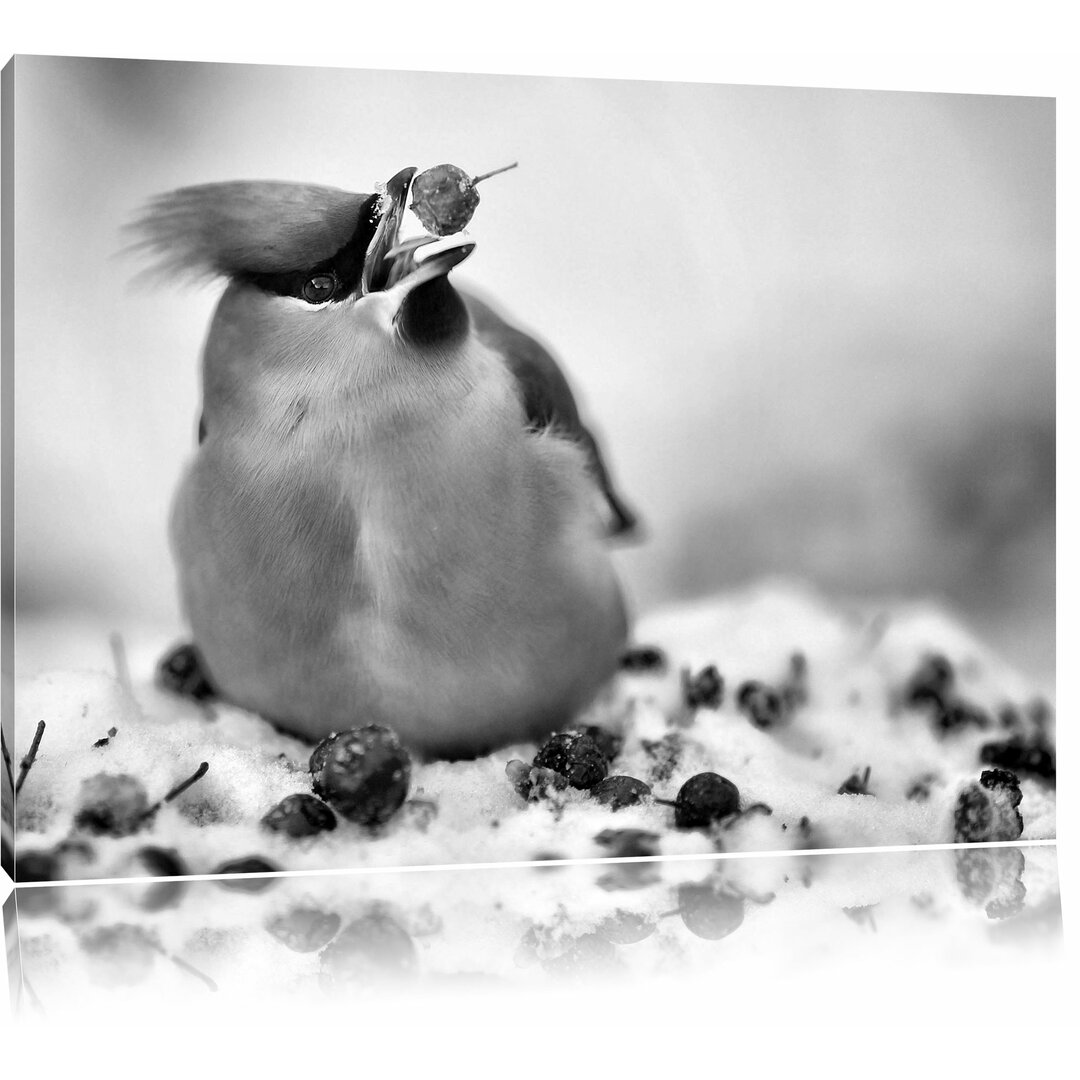 Leinwandbild Kleiner Vogel im Schnee in Monochrom