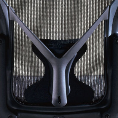 Aeron® Back Support