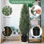 91.9cm Plant
