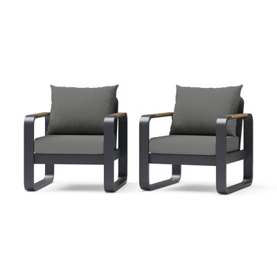 Andes Club Chairs (Set Of 2) - Canvas Charcoal