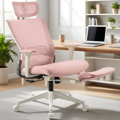 Nikaylah Foldable Mesh Office Chair, Ergonomic Task Chair with 2D Headrest , 2D Armrest and Footrest by Inbox Zero