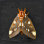 Regal Moth " Regal Moth 2 " Color Photography