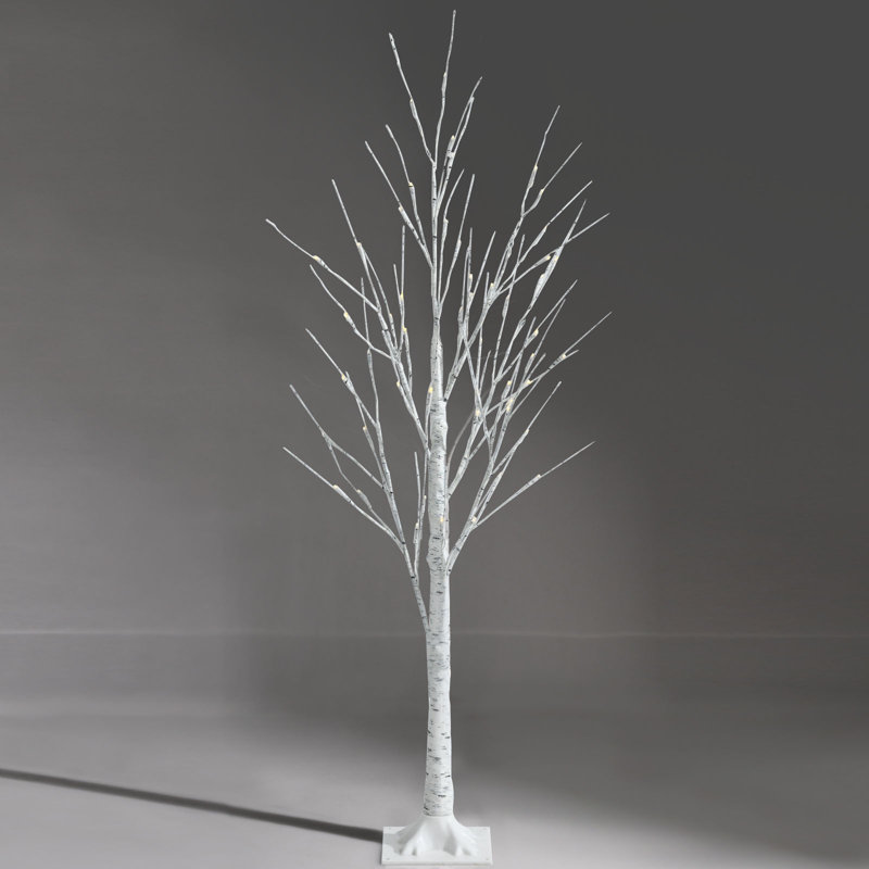 Lighted Christmas Tree