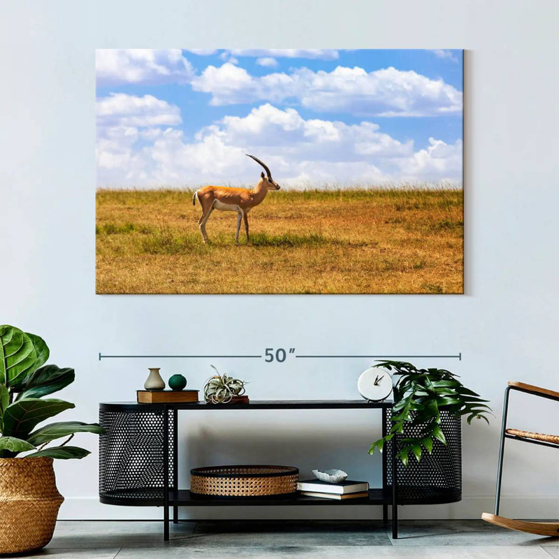 Gazelle Brampt dans la savane, H 34 po x l 51 po