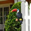 Toucan Garden Sculpture Colorful Tree-1844048411