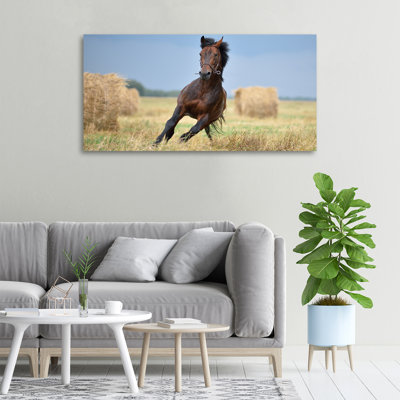 Horse In Gallop - No Frame Print on Canvas