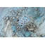 Chaaya Glass Novelty Lamp-2012989792