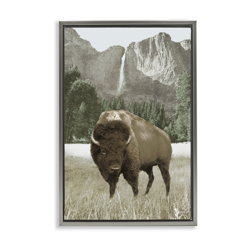 «Bison & Mountain Landscape» par Dan Meneely, Cadre flottant gris lustré, H 25 po x l 17 po