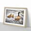 Ducklings with Mother Duck - Picture Frame Graphic Art Print on MDF-55734059-55734061
