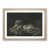 Oak Framed selected