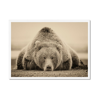 Deep Sleep by PHBurchett - Print