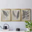 «Vintage Fern Study II», ensemble de 3 reproductions d'art sur toile-2145942593-2145942620