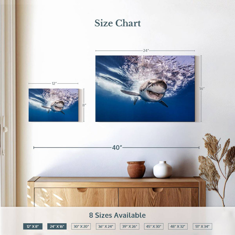 Brampt Happy Shark, 16'' H x 24'' W