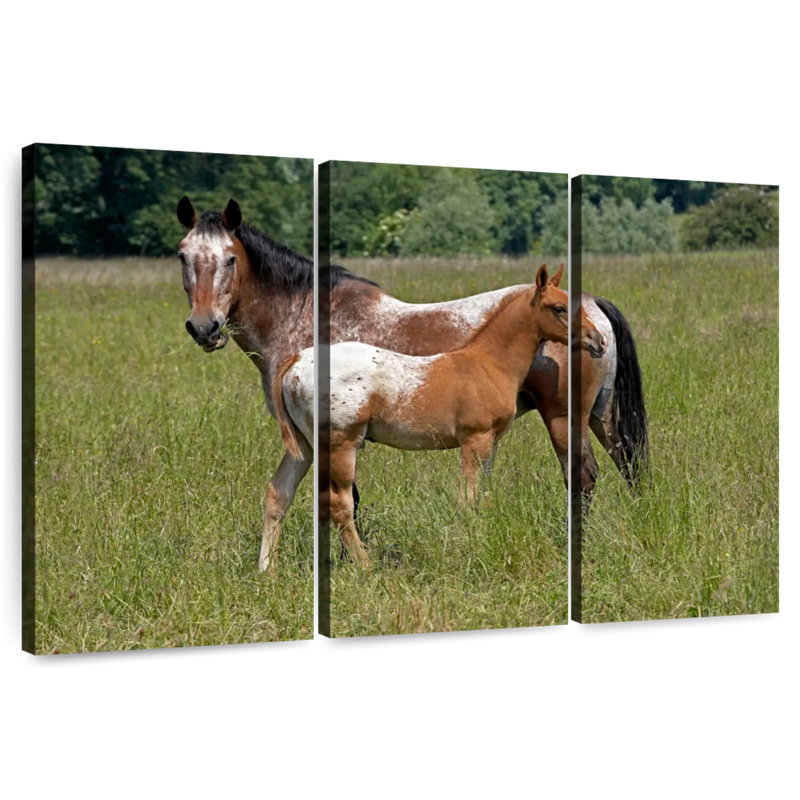 Bramalo Appaloosa, cheval et poulain, H 42 po x l 65 po