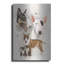 «Bull Terrier» par Barbara Keith-505305187