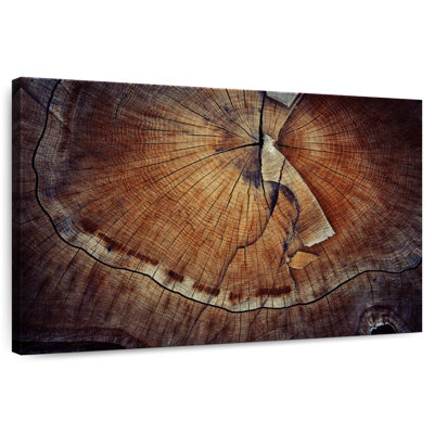 Texture d'arbre Harnek