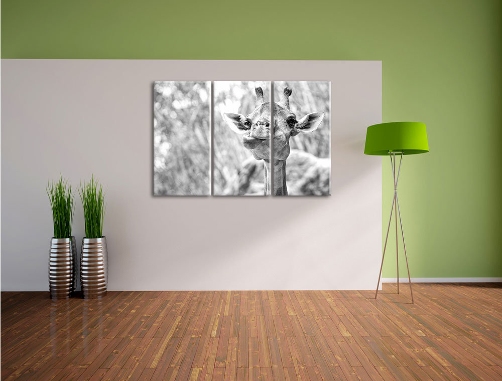 3-tlg. Leinwandbilder-Set „Giraffe in der Natur“, Fotodruck