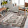 Aldusa Oriental Indoor Rug