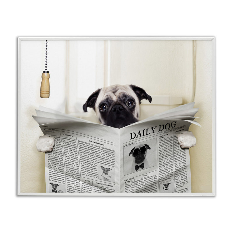 Carlin en train de lire le journal dans la salle de bain, H 11 po x l 14 po x P 1,5 po